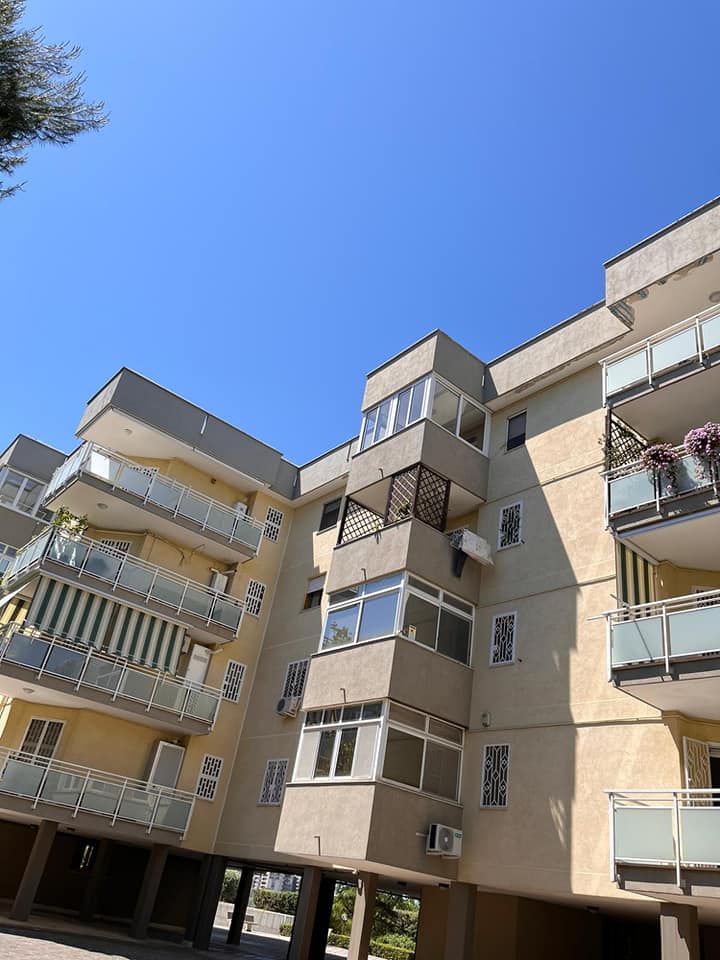 480593291_1252686193219157_8369263862586404800_n